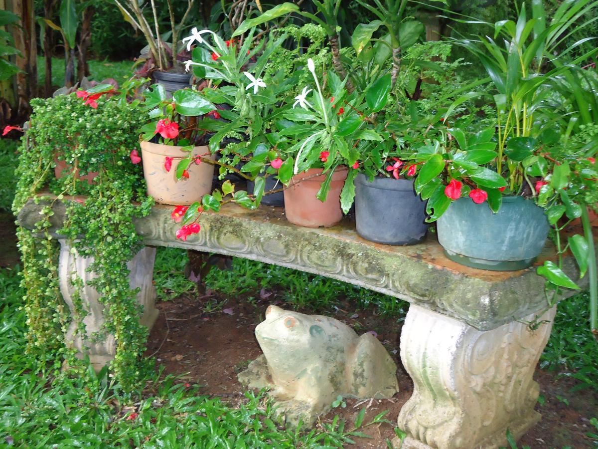 Quinta Don Fernando Bed & Breakfast La Garita  Dış mekan fotoğraf